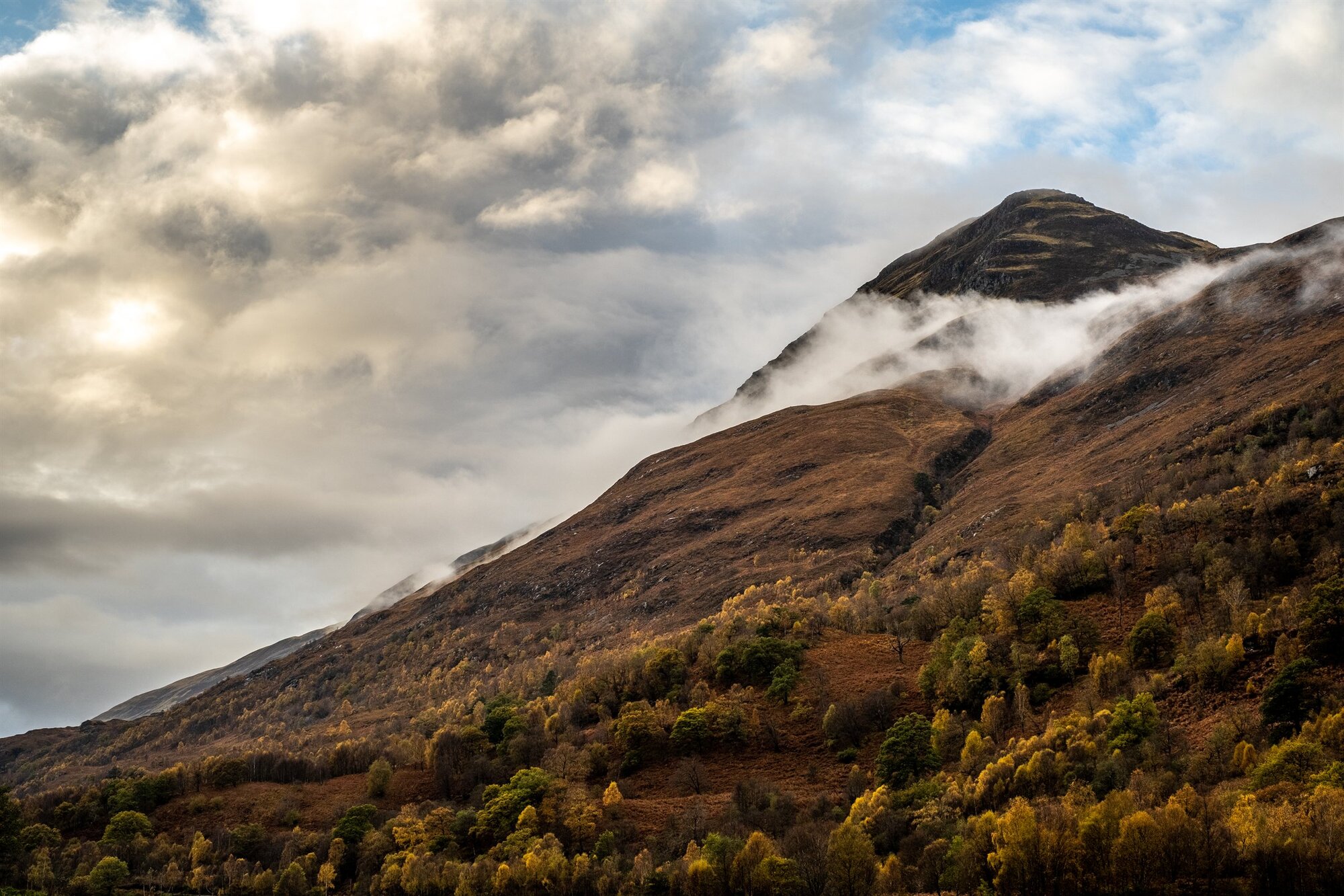 Cloud clinging to a golden autumn mountainside
