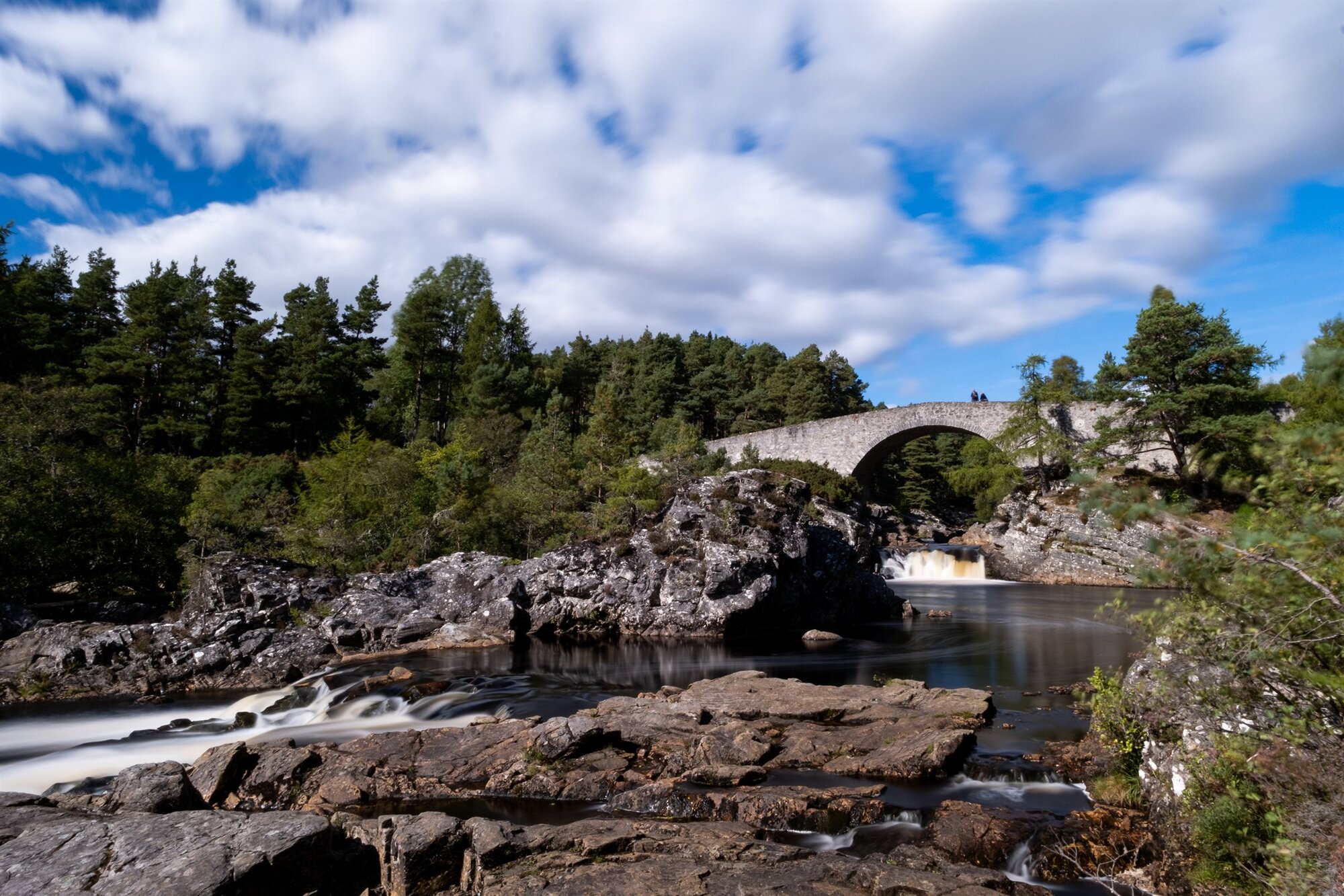 A stone bridge over a rocky river among pines under blue sky