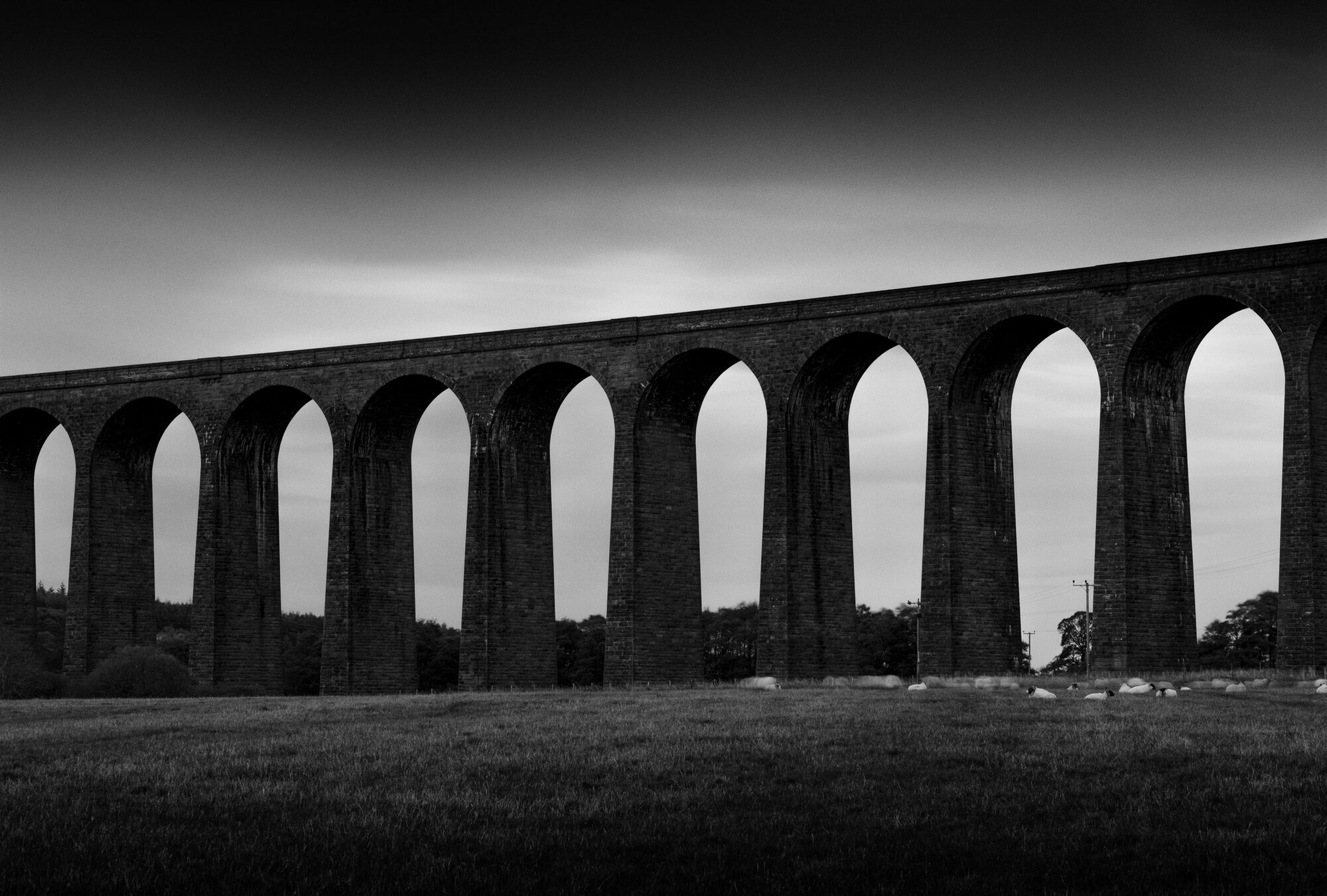 The arches of a stone railway viaduct above a field of resting sheep
