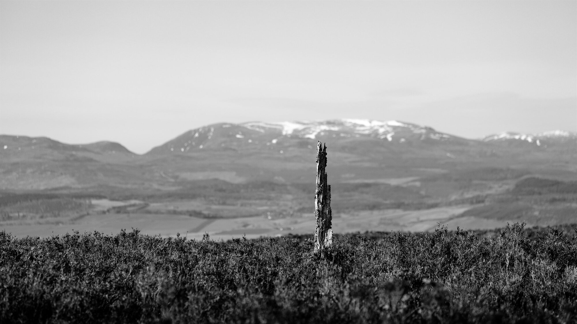 A lone post on the moor before snow-capped mountains