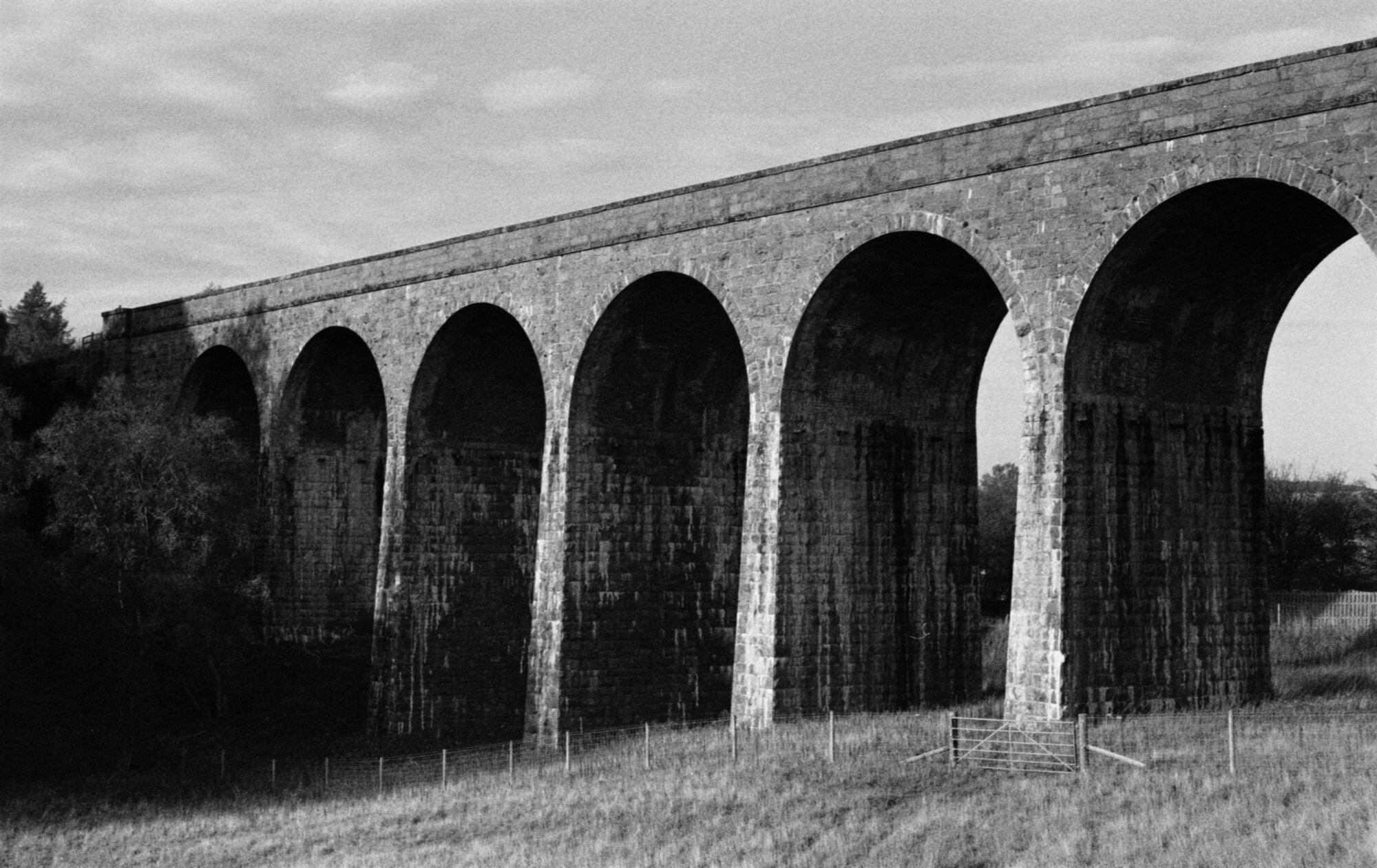 The stone arches of a viaduct above a field and a gate
