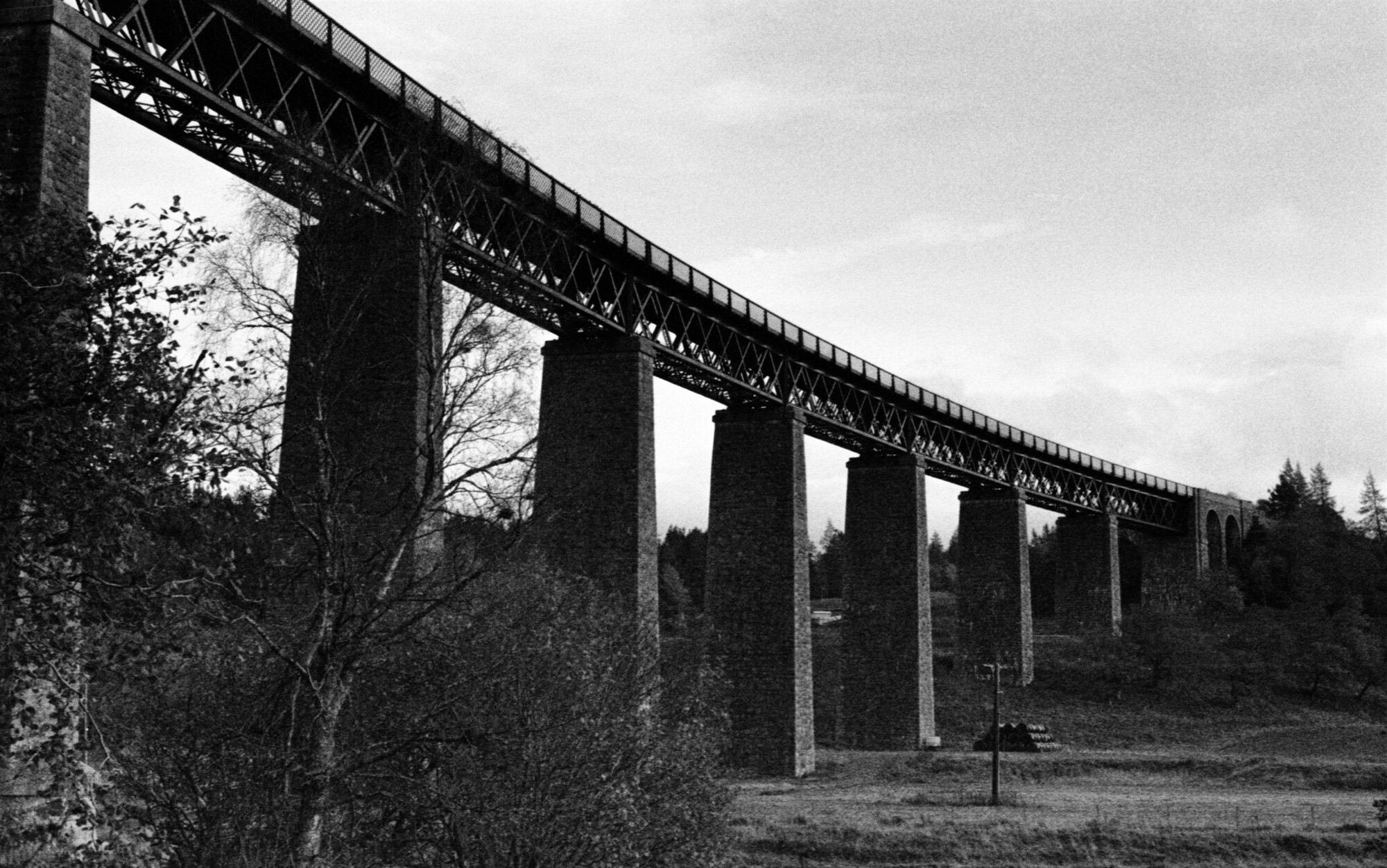 A long viaduct on stone piers curving away through the trees