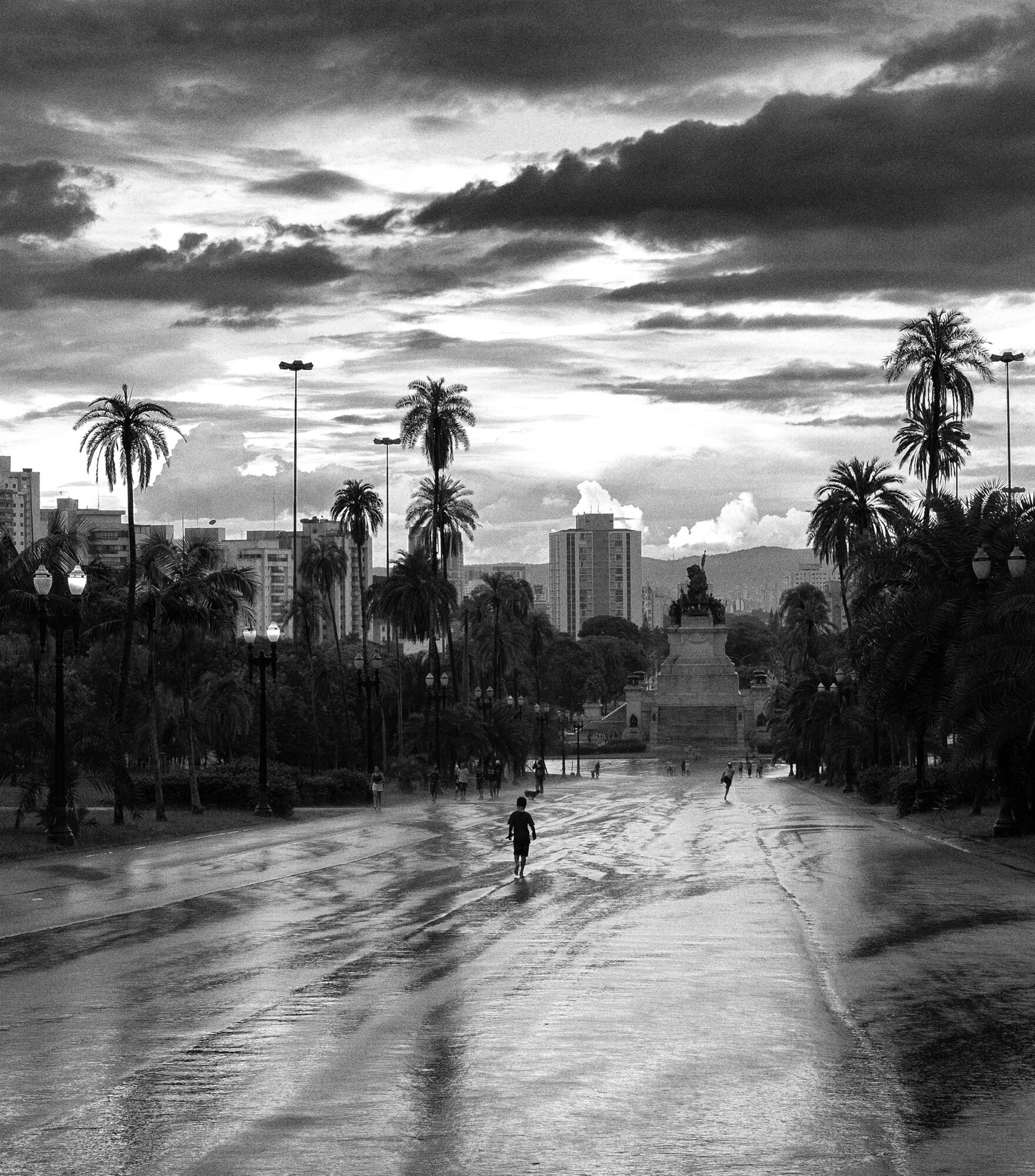 A wet avenue between palms leading to a domed building