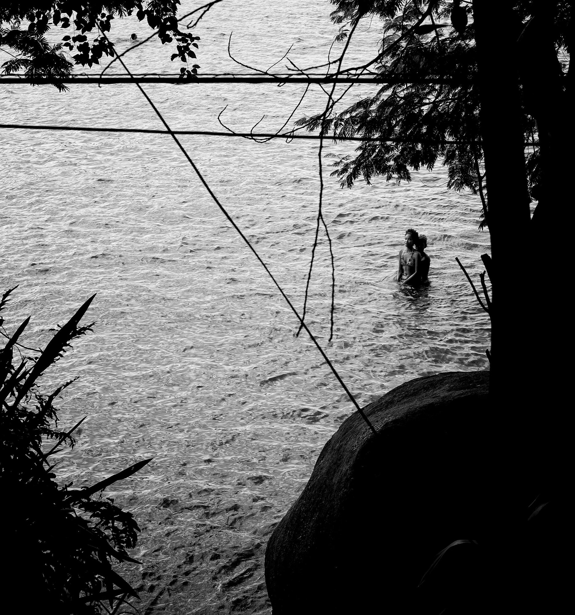 A swimmer in shining water beside overhanging leaves