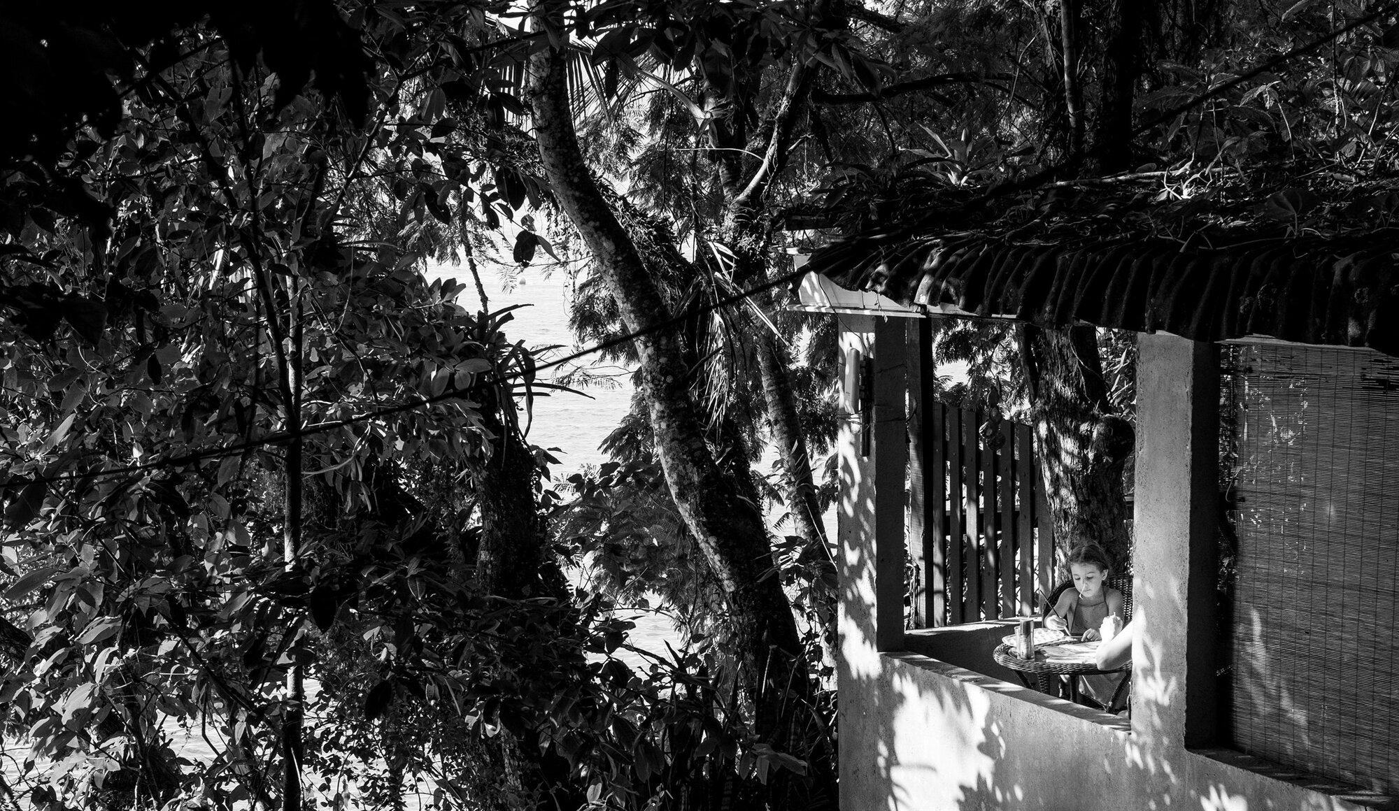 Tangled trees overhanging a house