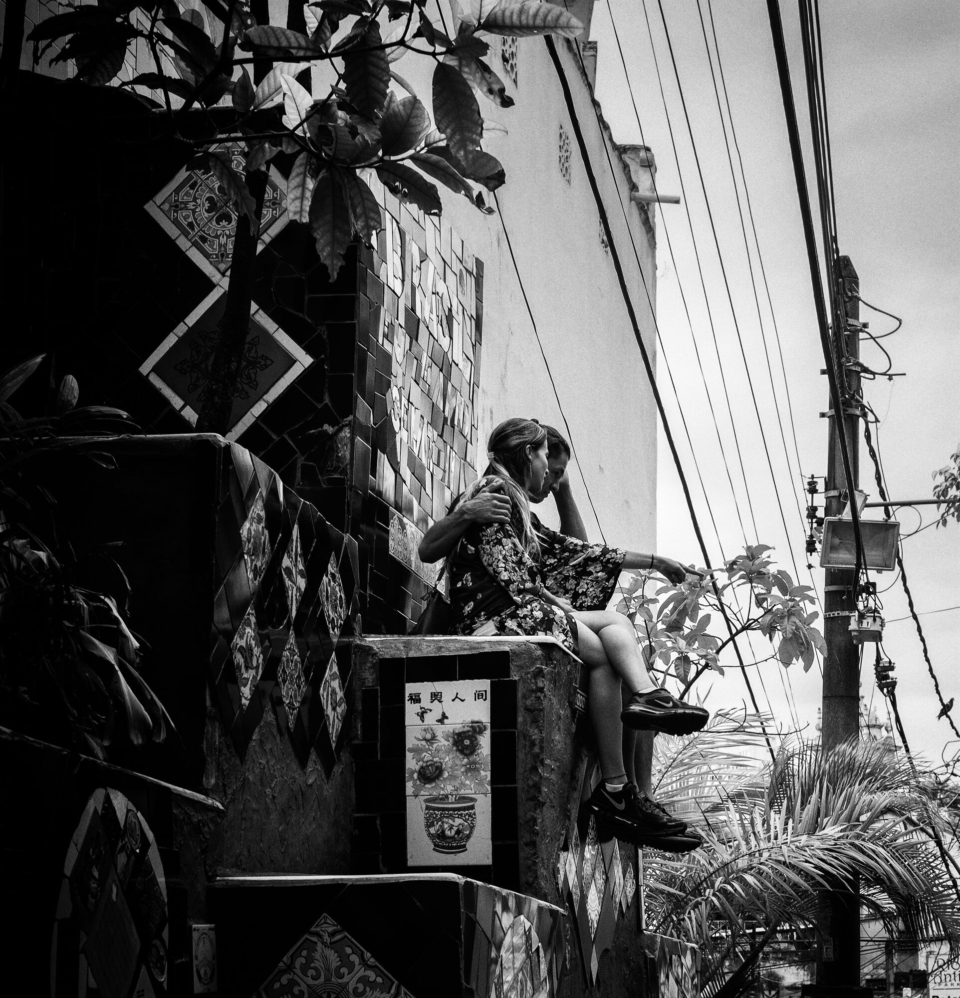 A statue among plants and overhead wires