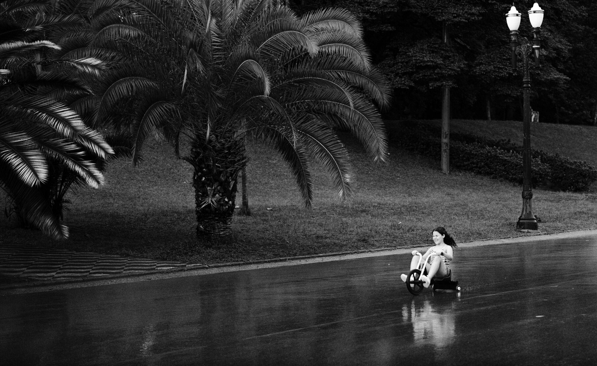 A person walking on a wet path beneath palms